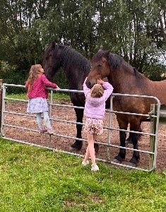 Weiterbildung zum Reittherapeuten – Start 21. Februar 2026 in Schleswig-Holstein