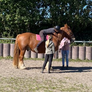 Weiterbildung zum Reittherapeuten – Start 13. Februar 2027 in Schleswig-Holstein