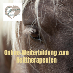 Online-Weiterbildung zum Reittherapeuten ab 01.01.2026, jetzt schon anmelden